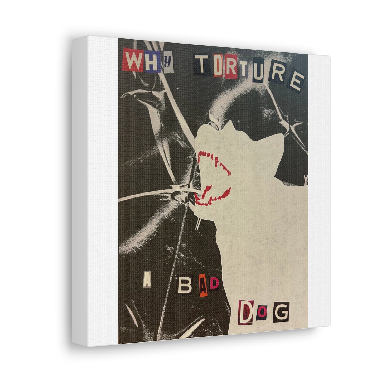 Why torture a bad dog? Canvas