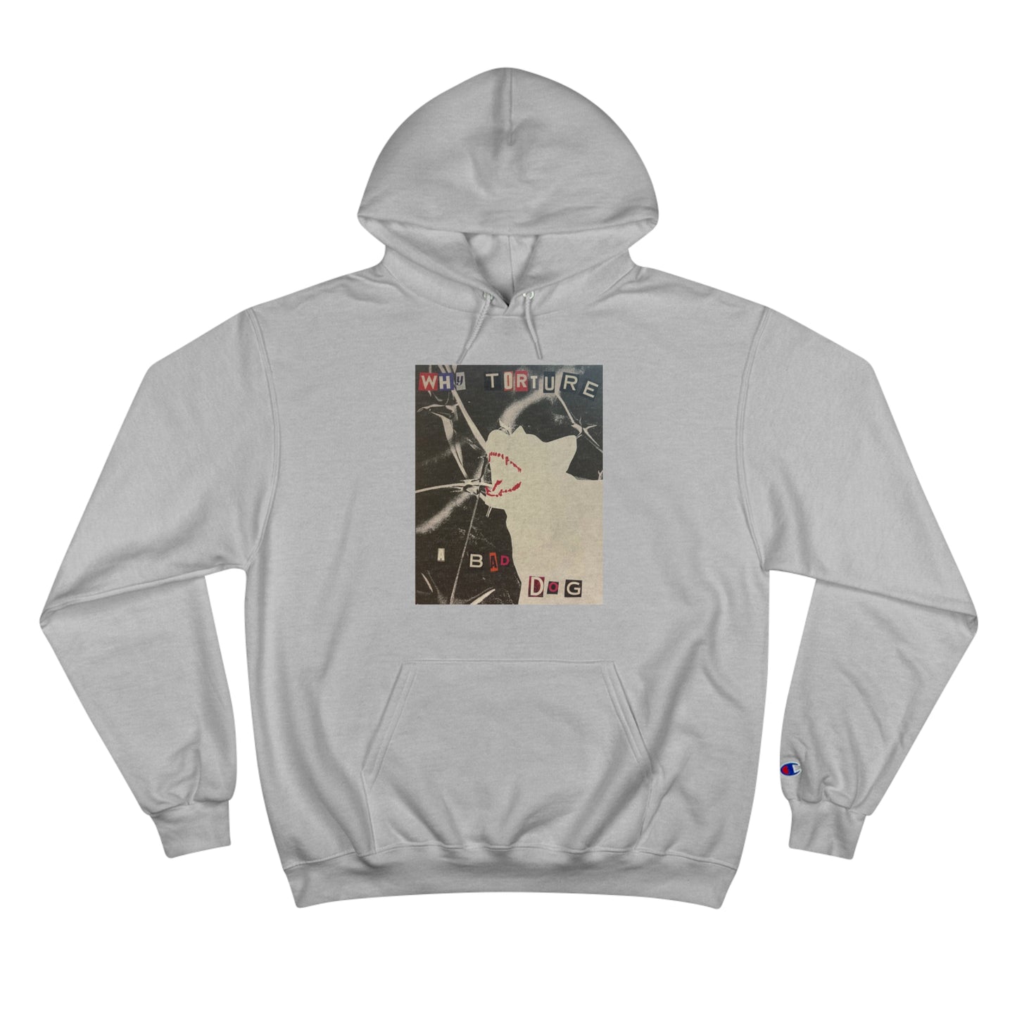 Why torture a bad dog? Champion Hoodie