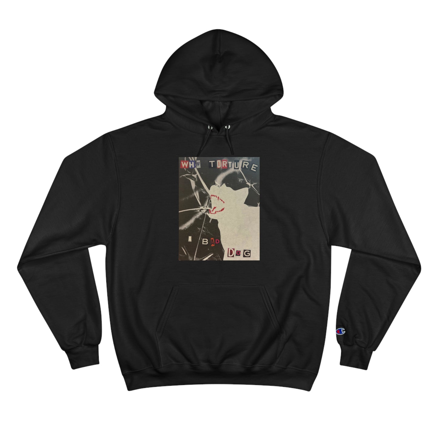 Why torture a bad dog? Champion Hoodie